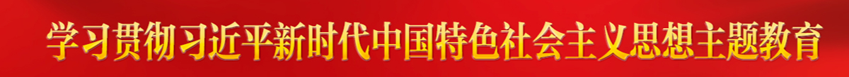 學習貫徹習近平新時代中國特色社會主義思想主題教育